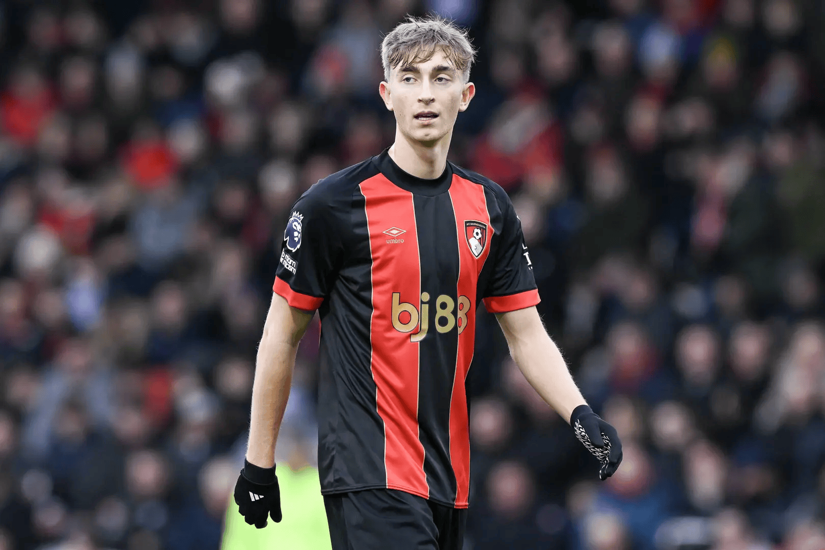 里程碑夜！托特纳姆防线松动；荷甲关键时刻刷纪录；赛场秩序良好；阵容厚度经受考验的简单介绍